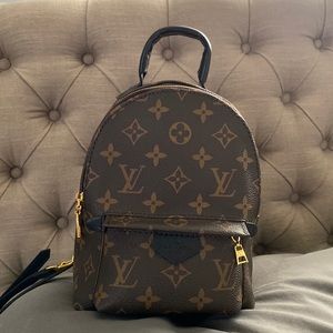 Louis Vuitton mini Palm Springs